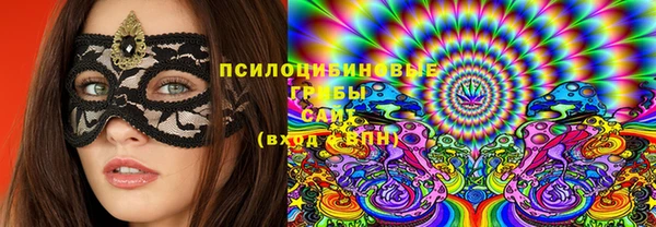 ПСИЛОЦИБИНОВЫЕ ГРИБЫ Алзамай