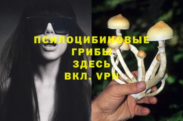 скорость Алексеевка