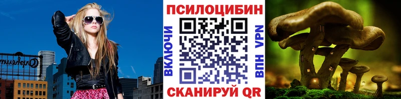 Псилоцибиновые грибы Psilocybine cubensis Миасс